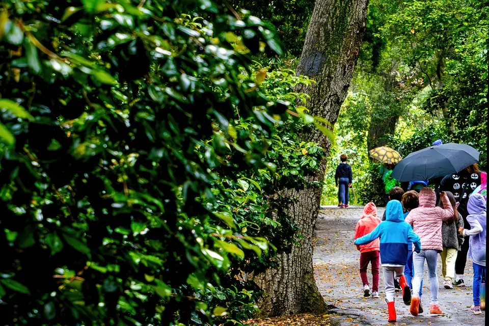 Our Local Expertise in Ponte Vedra Beach, Florida — Ponte Vedra Beach, FL