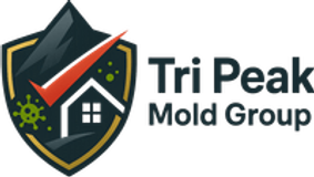 Tri Peak Mold Group